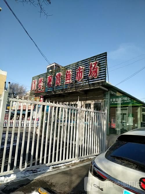 遵義觀賞魚批發市場是一個專業的觀賞魚批發市場在哪里，遵義觀賞魚批發市場在哪里，