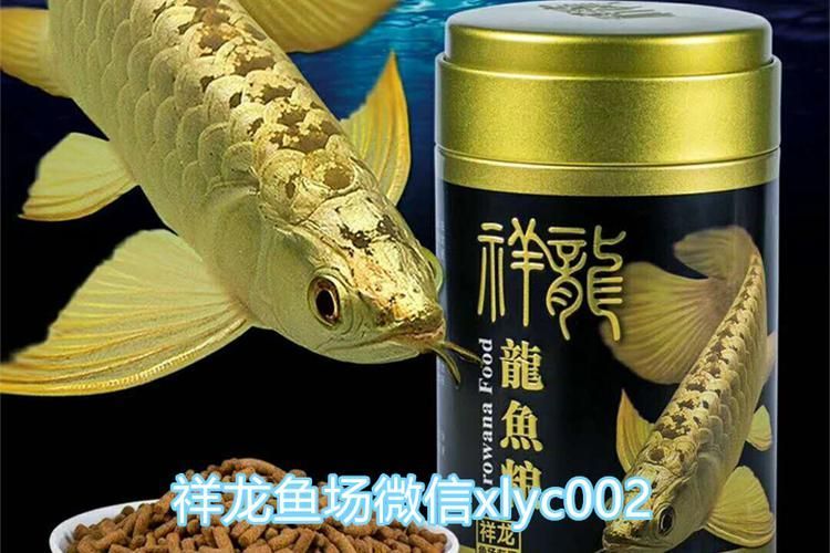 水族批發市場是一個專門從事水族用品交易的場所，徐州水族批發市場是一個專門從事水族用品交易的場所