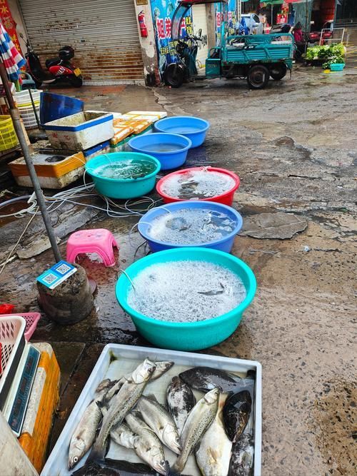 上饒水族批發(fā)市場(chǎng)是一個(gè)集水族養(yǎng)殖、銷(xiāo)售、觀賞和文化交流于一體的綜合性市場(chǎng)，上饒水族批發(fā)市場(chǎng)-祥龍魚(yú)場(chǎng)