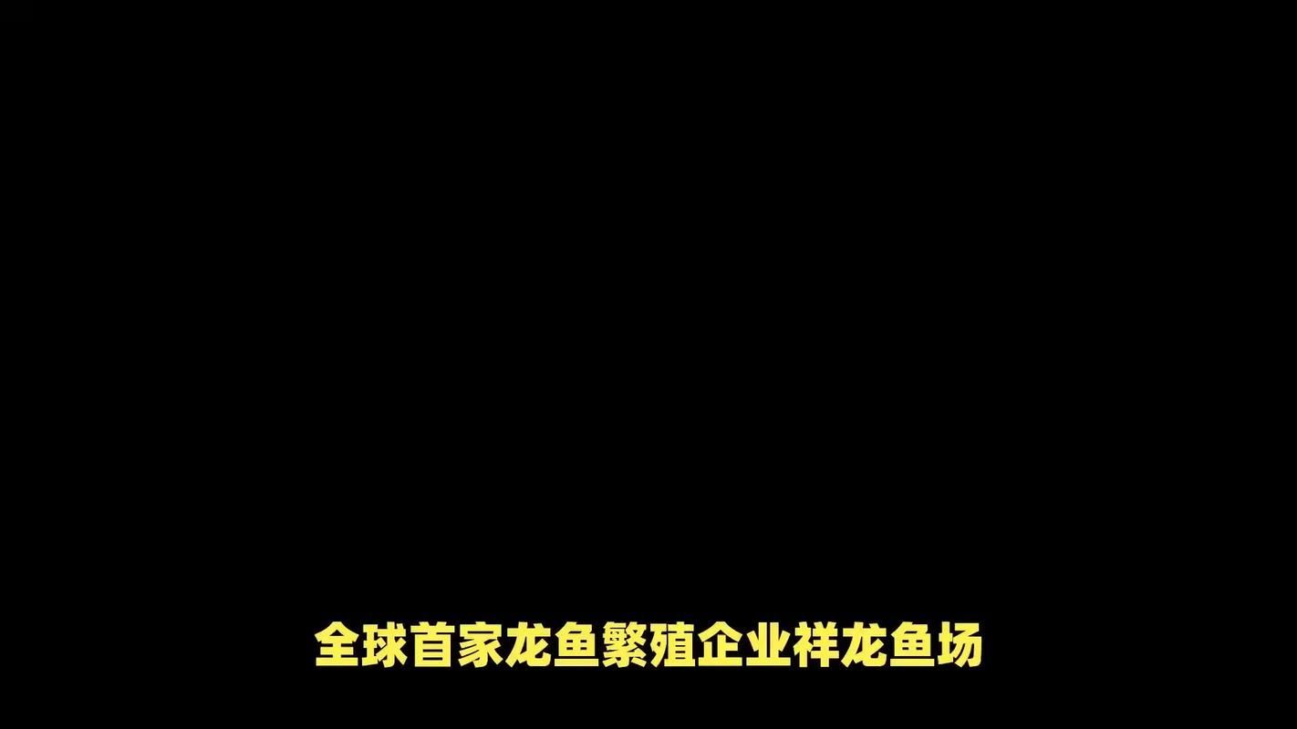 安陽觀賞魚批發市場表現和營銷策略可圈可圈可點，安陽觀賞魚批發市場怎么樣