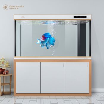 魚缸放在哪里風水好，祥龍魚場放魚缸好嗎，進門口放魚缸好嗎，