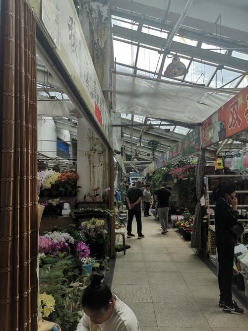哈爾濱觀賞魚批發市場有哪些主要商家？，哈爾濱觀賞魚批發市場和祥龍魚場品牌營銷策略