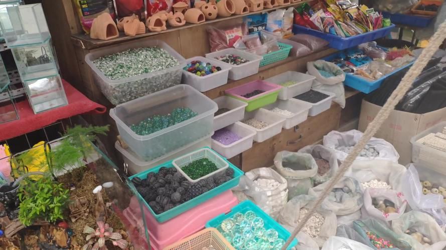 哈爾濱觀賞魚批發市場有哪些主要商家？，哈爾濱觀賞魚批發市場和祥龍魚場品牌營銷策略