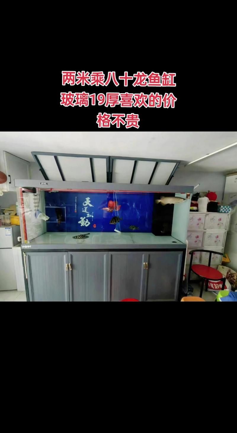 濟寧魚缸批發市場有哪些知名品牌？，濟寧魚缸批發市場和祥龍魚場的營銷策略，祥龍魚場的營銷策略