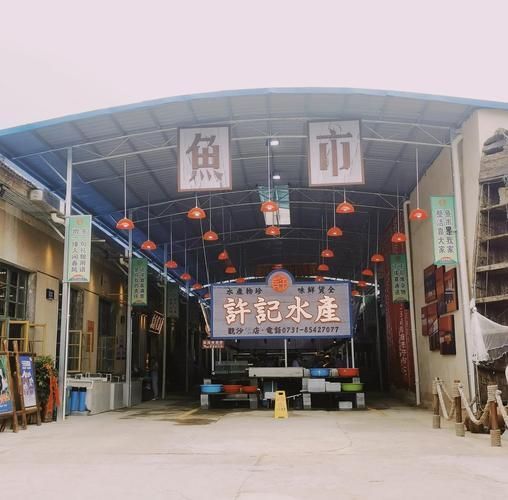 信陽觀賞魚批發市場的規模，祥龍魚場有哪些主打產品？，信陽觀賞魚批發市場是一個充滿活力和多樣性的地方