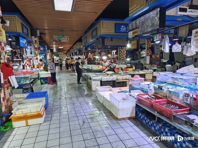 江門水族批發(fā)市場有哪些知名品牌？，江門水族批發(fā)市場有哪些優(yōu)勢？