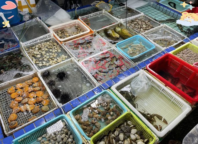 湛江水族批發(fā)市場有哪些知名商戶？，湛江水族批發(fā)市場和祥龍魚場有哪些知名商戶