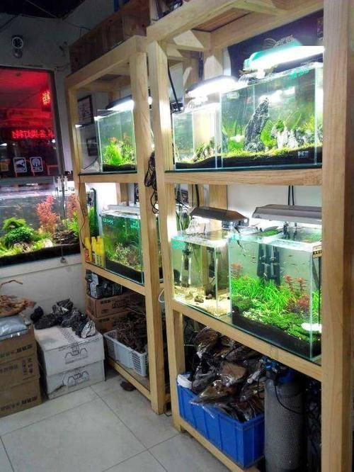 成都魚缸批發(fā)市場(chǎng)有哪些知名商家，成都魚缸批發(fā)市場(chǎng)擁有眾多的供應(yīng)商和經(jīng)銷商和經(jīng)銷商