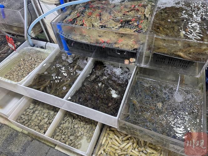 成都魚缸批發(fā)市場(chǎng)有哪些知名商家，成都魚缸批發(fā)市場(chǎng)擁有眾多的供應(yīng)商和經(jīng)銷商和經(jīng)銷商