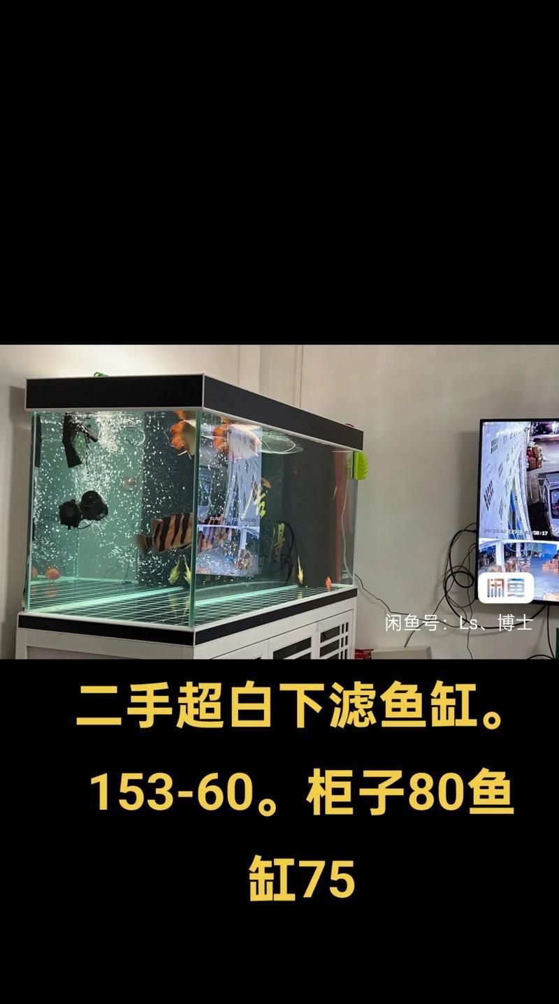 肇慶魚缸批發市場的價格范圍是多少？，肇慶魚缸批發市場和祥龍魚場品牌營銷是兩個很有深度的領域