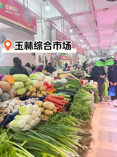 玉林觀賞魚批發(fā)市場有哪些高端品種？，玉林觀賞魚批發(fā)市場和祥龍魚場有哪些高端品種