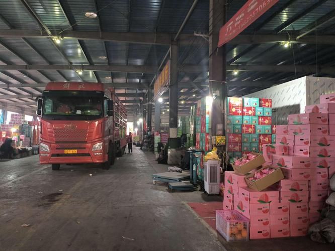 玉林觀賞魚批發(fā)市場有哪些高端品種？，玉林觀賞魚批發(fā)市場和祥龍魚場有哪些高端品種