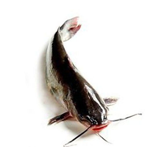 烤魚店的清江魚是什么魚，“清江魚”是什么魚，清江魚有哪些特色菜，清江魚的價(jià)格是多少