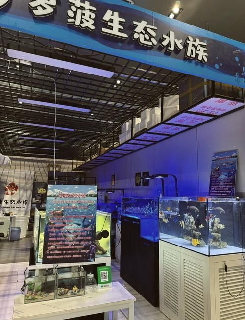 沈陽水族批發市場有哪些知名商戶？，沈陽水族批發市場和祥龍魚場品牌營銷分析祥龍魚場品牌營銷分析