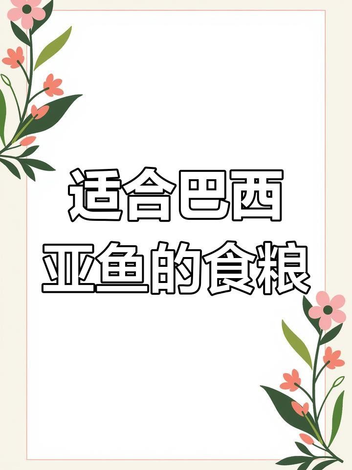 巴西亞魚飼養指南，巴西亞魚專用飼料的特點
