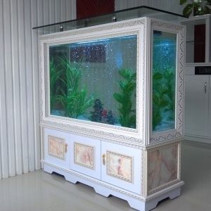 紅龍魚的批發價格及種類，紅龍魚批發價格及圖片表格下載安裝圖片表格下載安裝