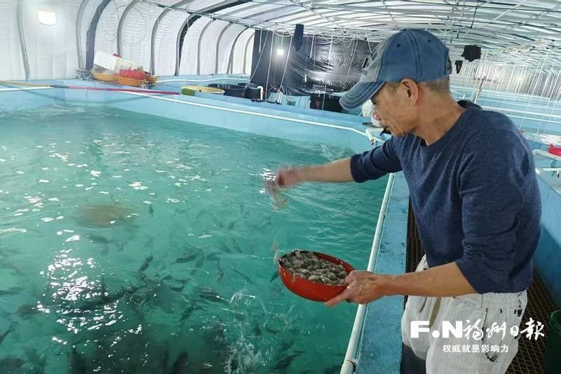 羅源龍魚飼養(yǎng)全攻略:“剝皮魚”游出致富新天地，福建羅源龍魚飼養(yǎng)全攻略“剝皮魚”游出致富新天地