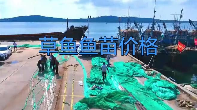廣東魚苗批發(fā)中心魚苗批發(fā)中心_惠州魚苗批發(fā)中心，養(yǎng)殖場魚苗批發(fā)行業(yè)的商業(yè)模式