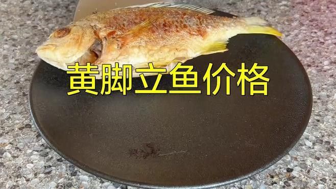 廣東魚苗批發(fā)中心魚苗批發(fā)中心_惠州魚苗批發(fā)中心，養(yǎng)殖場魚苗批發(fā)行業(yè)的商業(yè)模式