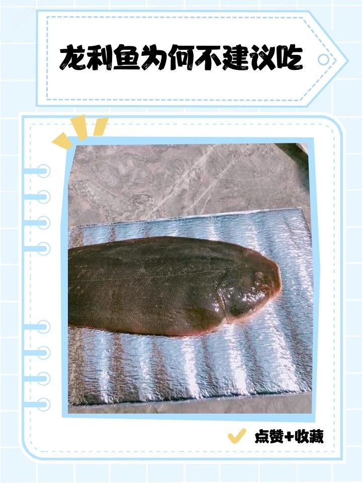 龍利魚為什么不建議吃龍利魚的原因不建議吃龍利魚的原因，龍利魚為什么不建議吃