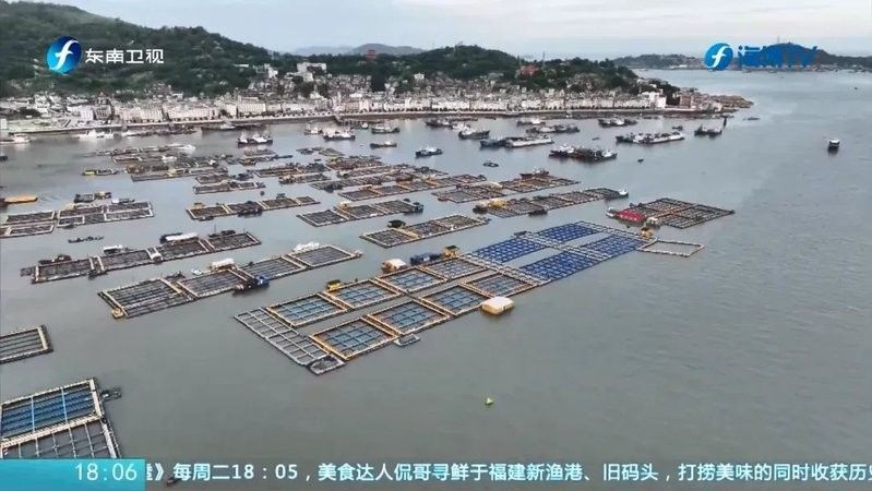 福鼎龍魚的生態(tài)養(yǎng)殖模式具體是怎樣的福鼎龍魚的生態(tài)養(yǎng)殖模式，福鼎龍魚的養(yǎng)殖歷史是怎樣的？