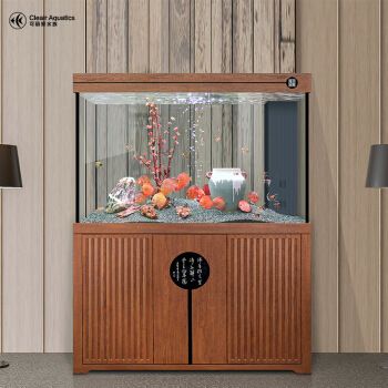 龍魚長多大能判斷龍魚是否過背，龍魚長多大能判斷是不是過背，龍魚長多大能判斷是不是過背