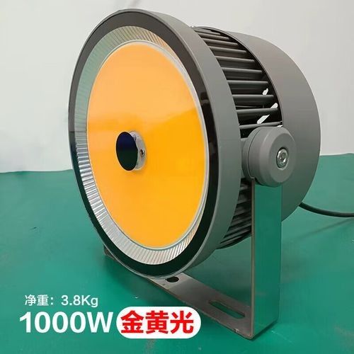 金灣金龍魚品牌和觀賞魚金龍魚的相關信息能幫您了解，金灣金龍魚京東旗艦店
