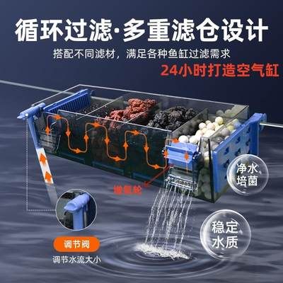 濟南市銀龍魚批發祥龍魚批發祥龍魚批發市場電話談魚市，濟南官園魚市