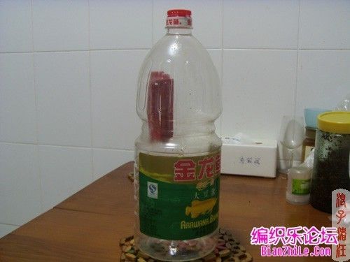 古代龍魚圖騰圖片的歷史價值和文化意義，古代龍魚圖騰圖片是在哪里發現的？