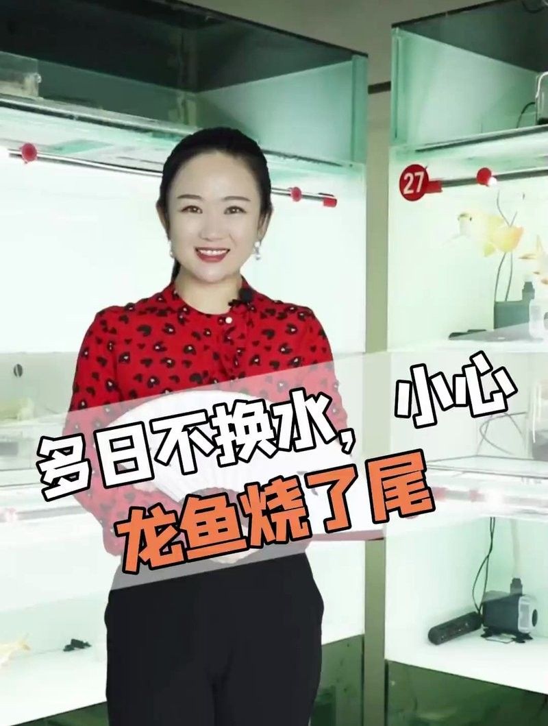 龍魚燒尾是一種常見的觀賞魚疾病的癥狀包括尾巴變黑、腐爛和脫落，龍魚燒尾怎么辦