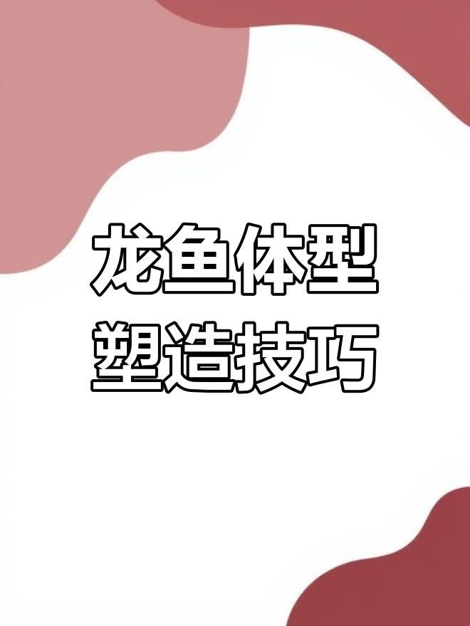 龍魚三天喂一次可以嗎，紅龍魚的喂食頻率應(yīng)該注意什么，紅龍魚多久喂一次最好？