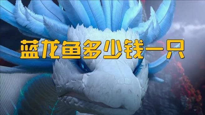 藍(lán)曼龍魚的價(jià)格是多少？，藍(lán)曼龍魚多少錢一只