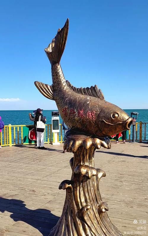 旅順口金龍魚的歷史文化與現狀，關于旅順口金龍魚的問題 旅順口金龍魚的歷史文化與現狀，關于旅順口金龍魚的問題 觀賞魚百科 第2張