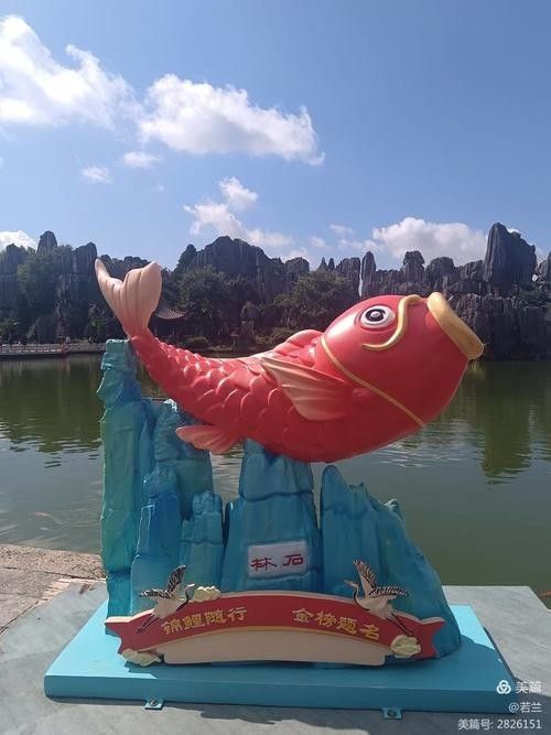 旅順口金龍魚的歷史文化與現狀，關于旅順口金龍魚的問題 旅順口金龍魚的歷史文化與現狀，關于旅順口金龍魚的問題 觀賞魚百科 第4張