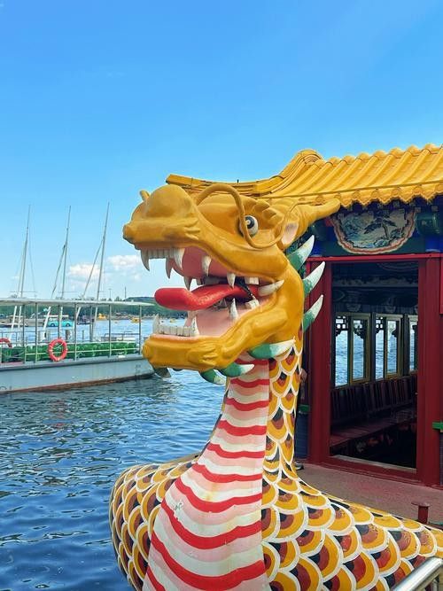 旅順口金龍魚的歷史文化與現狀，關于旅順口金龍魚的問題 旅順口金龍魚的歷史文化與現狀，關于旅順口金龍魚的問題 觀賞魚百科 第6張
