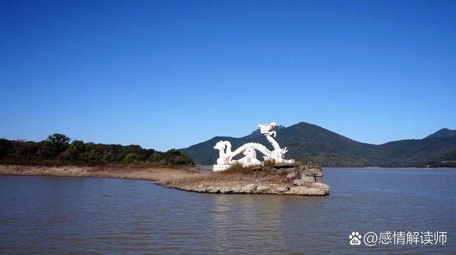 旅順口金龍魚的歷史文化與現狀，關于旅順口金龍魚的問題 旅順口金龍魚的歷史文化與現狀，關于旅順口金龍魚的問題 觀賞魚百科 第5張