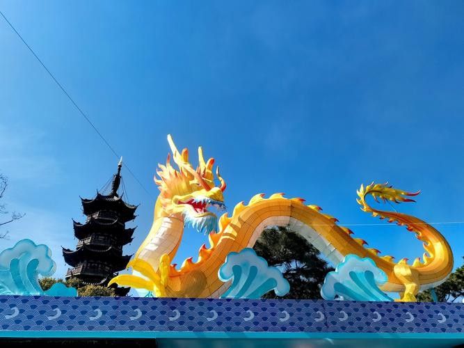 旅順口金龍魚的歷史文化與現狀，關于旅順口金龍魚的問題 旅順口金龍魚的歷史文化與現狀，關于旅順口金龍魚的問題 觀賞魚百科 第1張