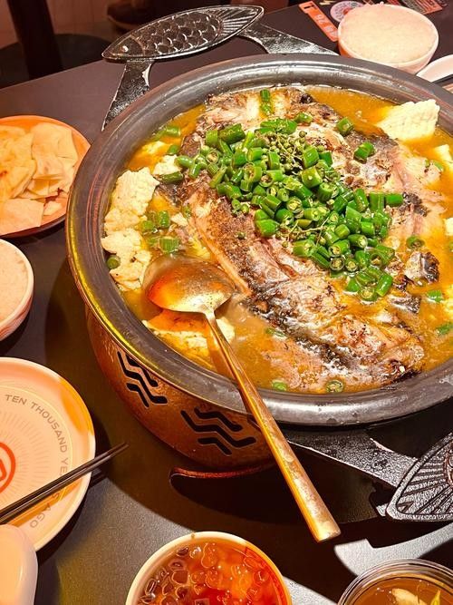 石家莊哪家魚館最有特色，石家莊魚館排名前十名搬磚族煲劇錄，石家莊吃魚好去處