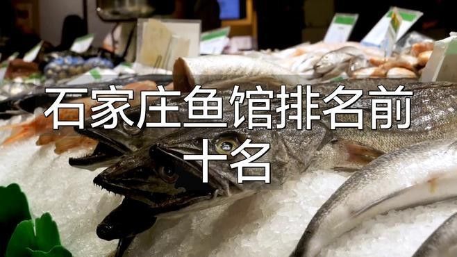 石家莊哪家魚(yú)館最有特色，石家莊魚(yú)館排名前十名搬磚族煲劇錄，石家莊吃魚(yú)好去處