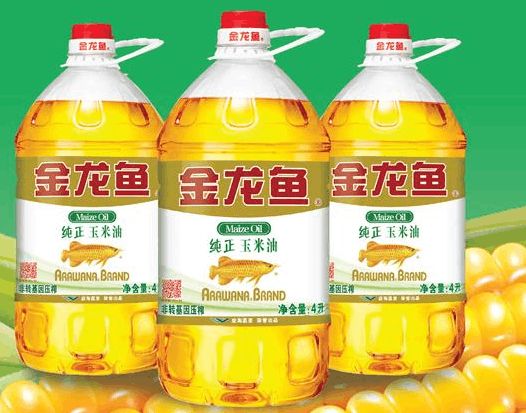 金龍魚單養金龍魚單養和加配魚的優缺點和缺點和缺點，金龍魚單養和加配魚各有其優缺點，金龍魚單養和加配魚的優缺點