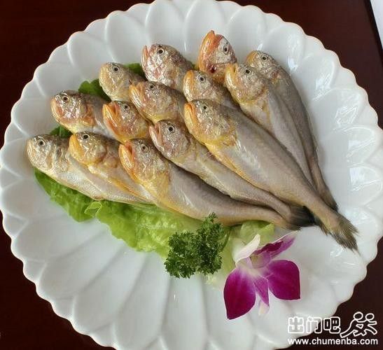 中國最有名的五大貢魚都是哪些魚嗶哩嗶哩嗶哩嗶哩嗶哩嗶哩嗶哩，15,中國最有名的五大貢魚都是哪些魚