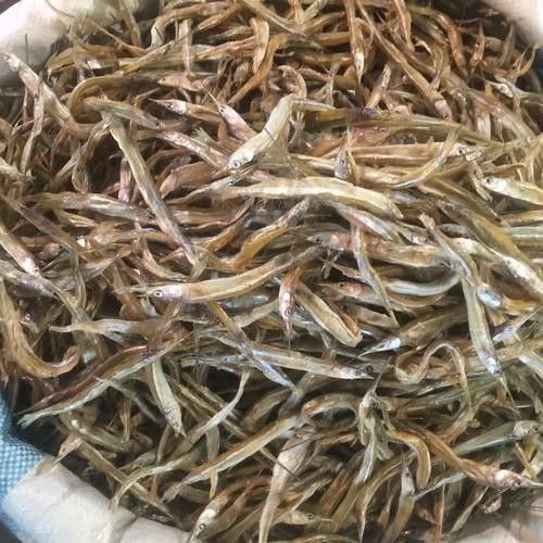 中國最有名的五大貢魚都是哪些魚嗶哩嗶哩嗶哩嗶哩嗶哩嗶哩嗶哩，15,中國最有名的五大貢魚都是哪些魚