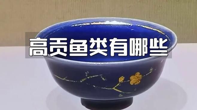 中國最有名的五大貢魚都是哪些魚嗶哩嗶哩嗶哩嗶哩嗶哩嗶哩嗶哩，15,中國最有名的五大貢魚都是哪些魚