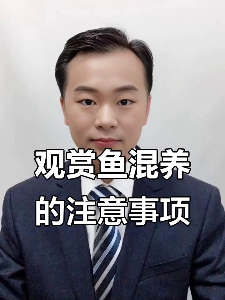 適合混養的觀賞魚，哪些觀賞魚適合混養在一起