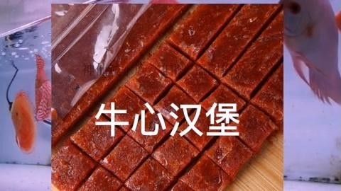 魚食的漢堡和牛心漢堡哪個更適合增色？，魚食漢堡和牛心漢堡哪個好，