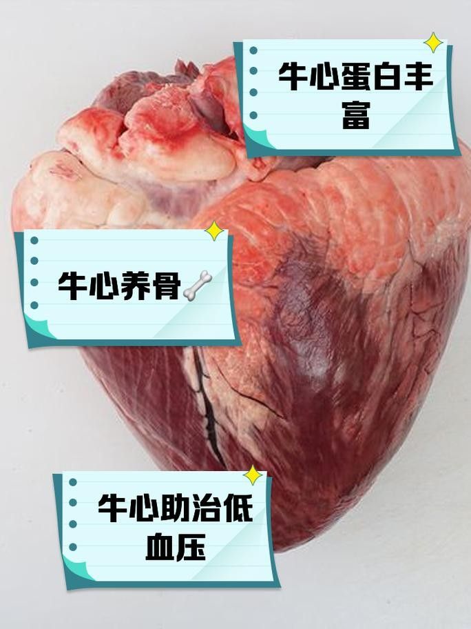 魚食的漢堡和牛心漢堡哪個更適合增色？，魚食漢堡和牛心漢堡哪個好，