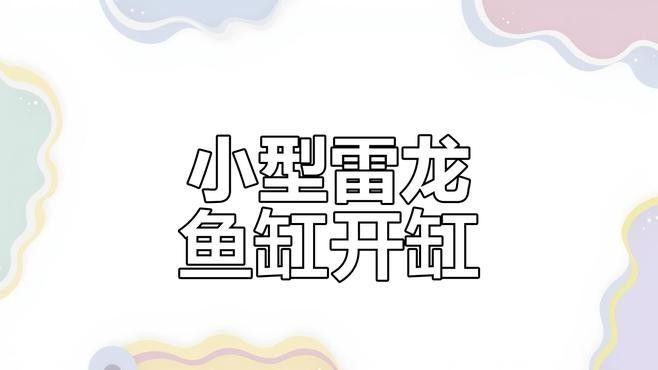 龍魚缸背景壁紙高清，讓你的家庭環境增添一份寧靜與和諧，魚缸背景壁紙高清