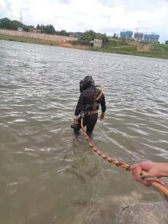 龍魚為何成水族箱寵兒揭秘其魅力與象征意義，平涼龍魚的價格是多少如何鑒別真假平涼龍魚的價格