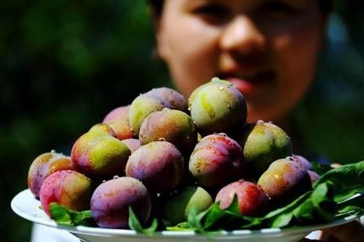 云南綏江縣的特產(chǎn)，云南省昭通市綏江縣的特產(chǎn) 云南綏江縣的特產(chǎn)，云南省昭通市綏江縣的特產(chǎn) 觀賞魚百科 第4張