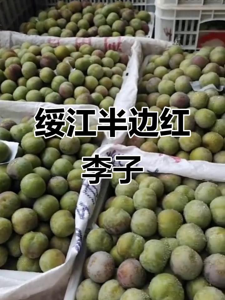 云南綏江縣的特產(chǎn)，云南省昭通市綏江縣的特產(chǎn) 云南綏江縣的特產(chǎn)，云南省昭通市綏江縣的特產(chǎn) 觀賞魚百科 第7張